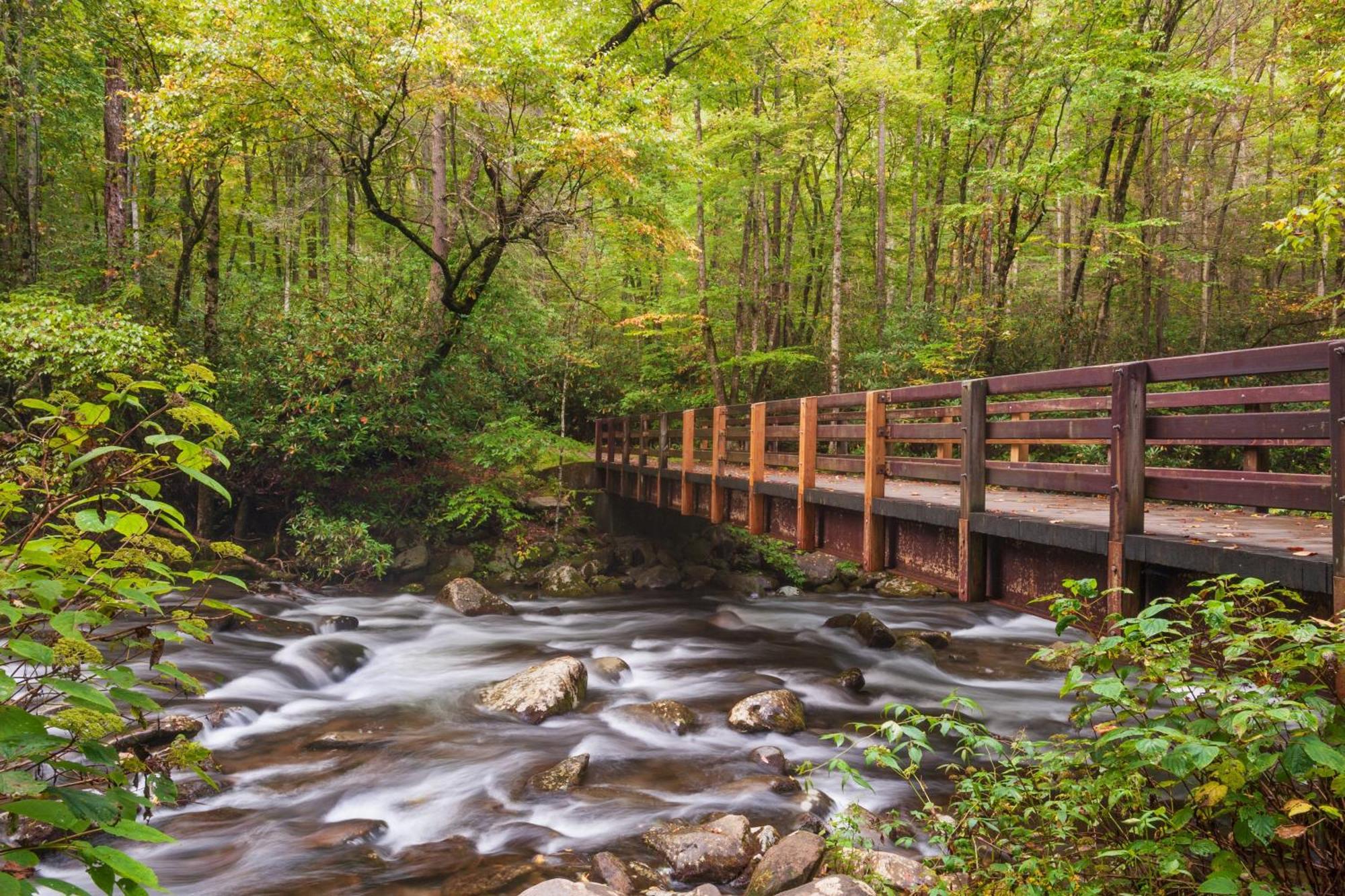 Rock Of Ages, Hot Tub, Game Room, Wifi, 1089 Free Tickets Each Paid Day, Dollywood And More Pigeon Forge Exteriér fotografie
